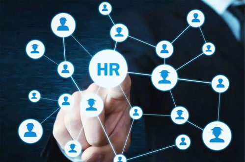 農(nóng)業(yè)“新農(nóng)人” 想做風(fēng)口上的“智能豬”，技術(shù)開發(fā)能力不可少